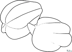 carom Coloring Pages To Print